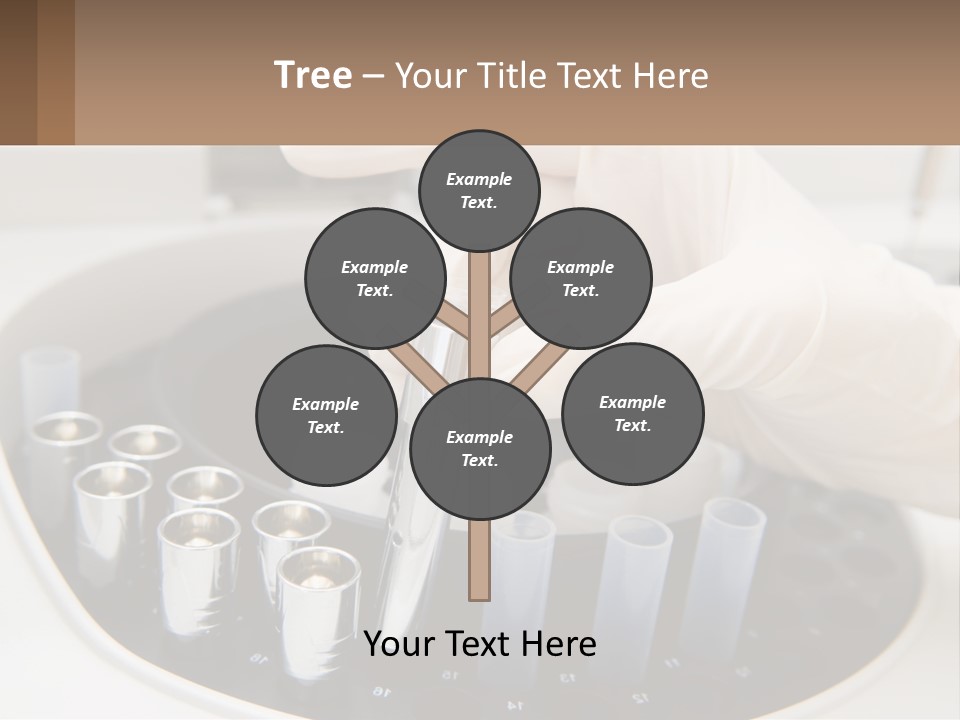 Test Biomedical Medicine PowerPoint Template