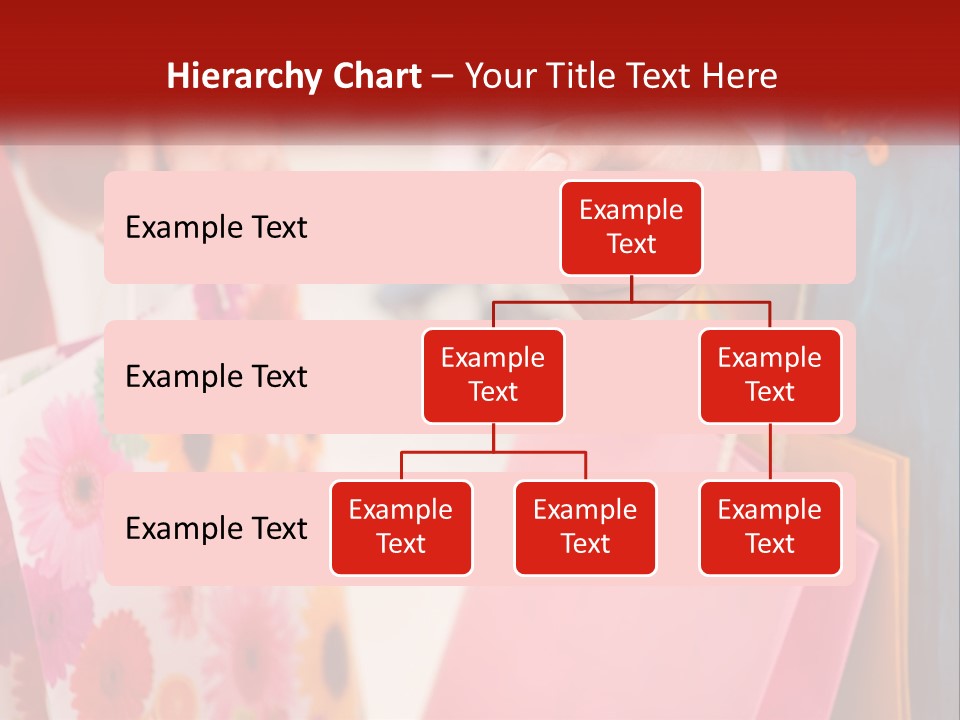 Consumer Mall Bag PowerPoint Template