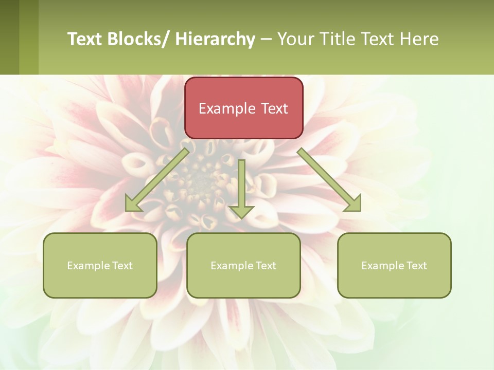 Nature Gardener Red PowerPoint Template
