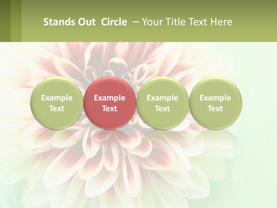 Nature Gardener Red PowerPoint Template