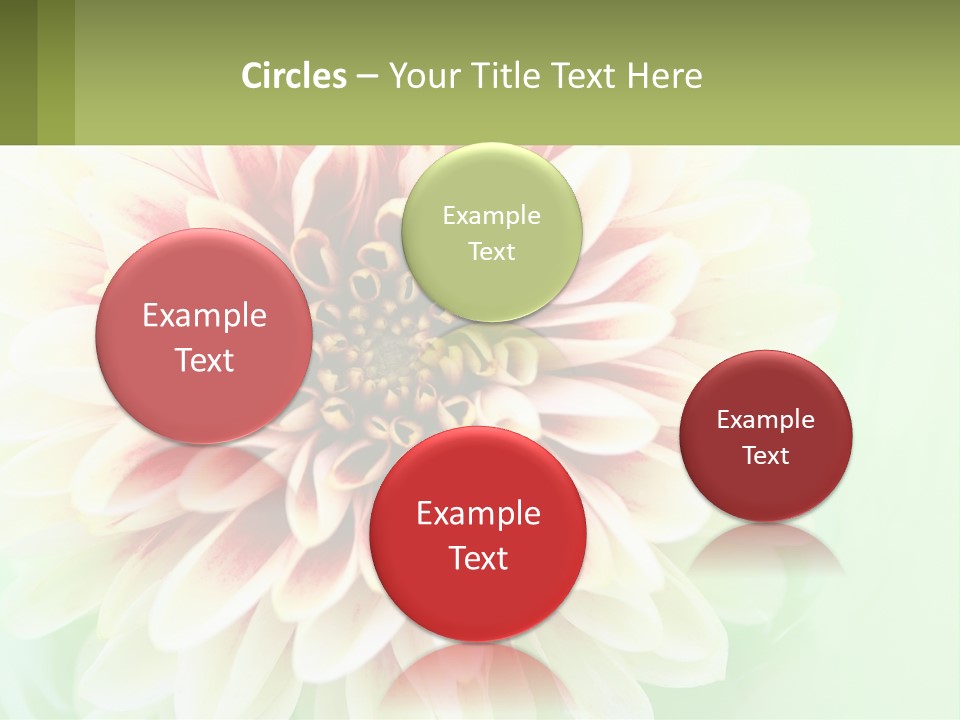 Nature Gardener Red PowerPoint Template