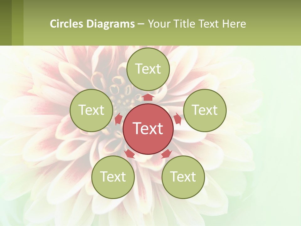 Nature Gardener Red PowerPoint Template