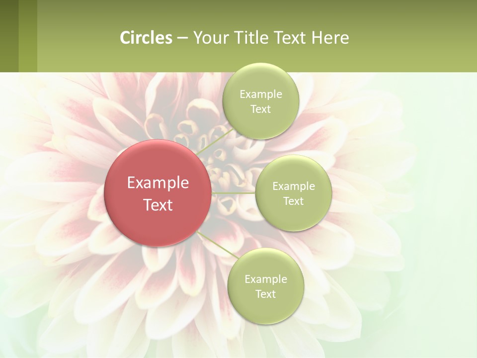 Nature Gardener Red PowerPoint Template