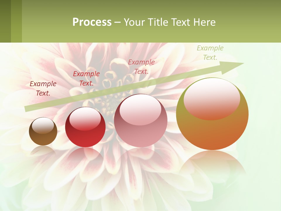 Nature Gardener Red PowerPoint Template