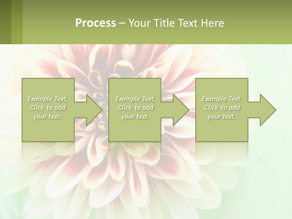 Nature Gardener Red PowerPoint Template