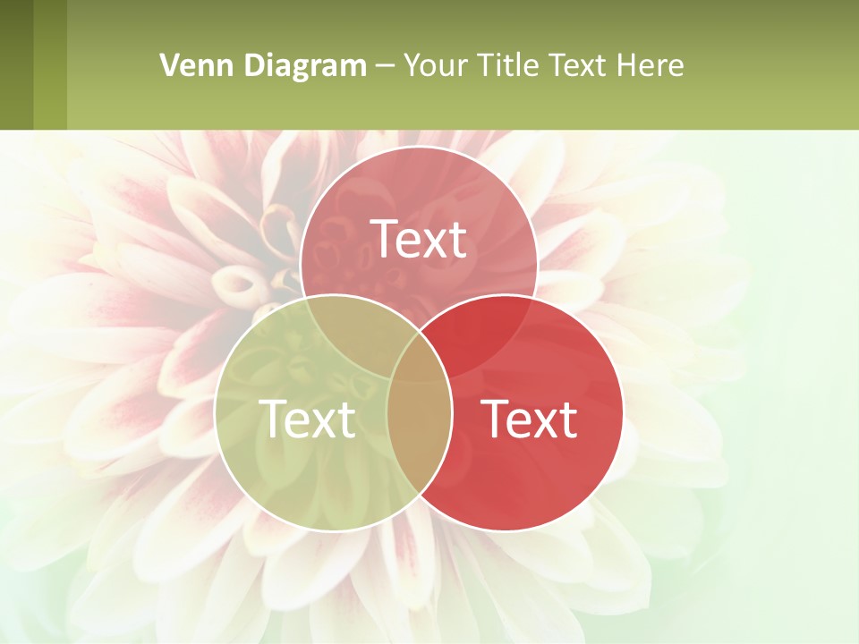 Nature Gardener Red PowerPoint Template