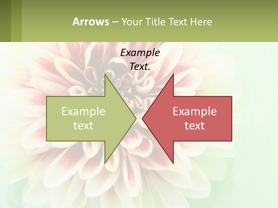 Nature Gardener Red PowerPoint Template