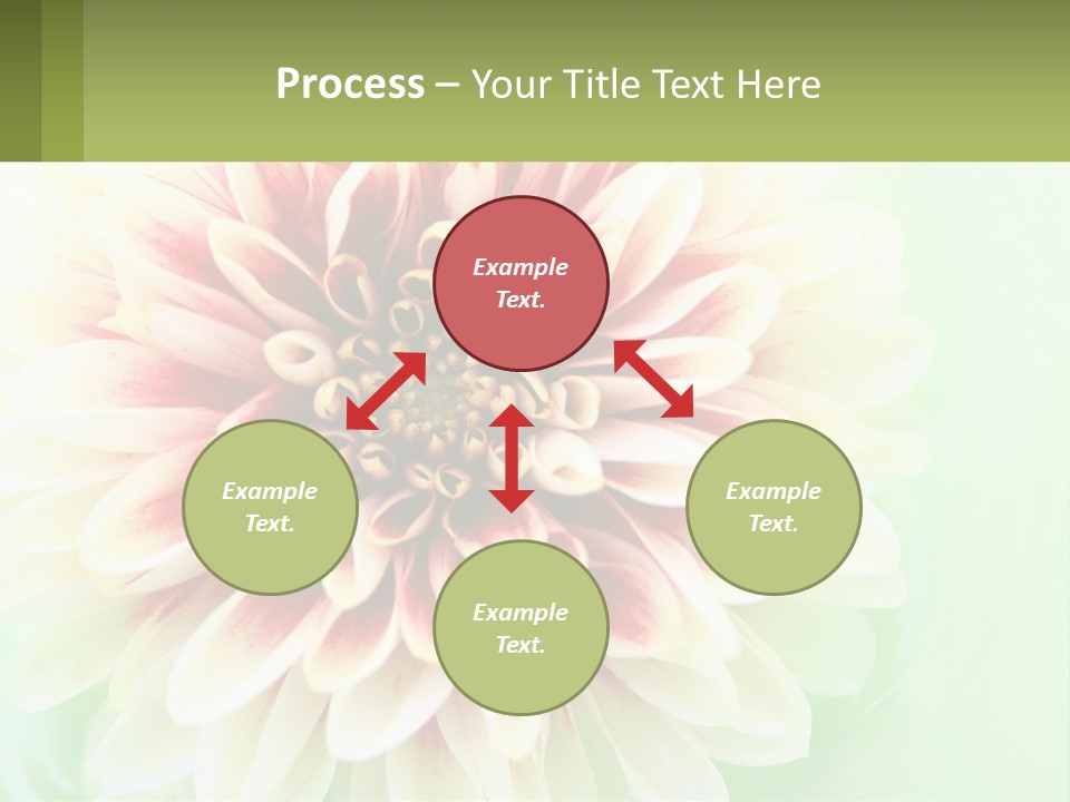 Nature Gardener Red PowerPoint Template