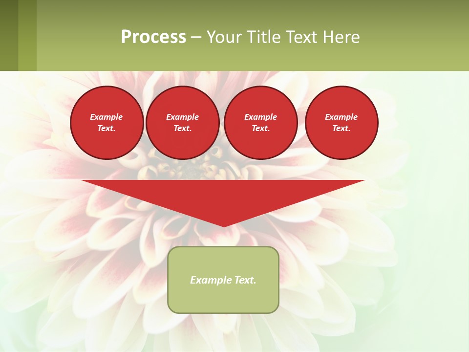 Nature Gardener Red PowerPoint Template