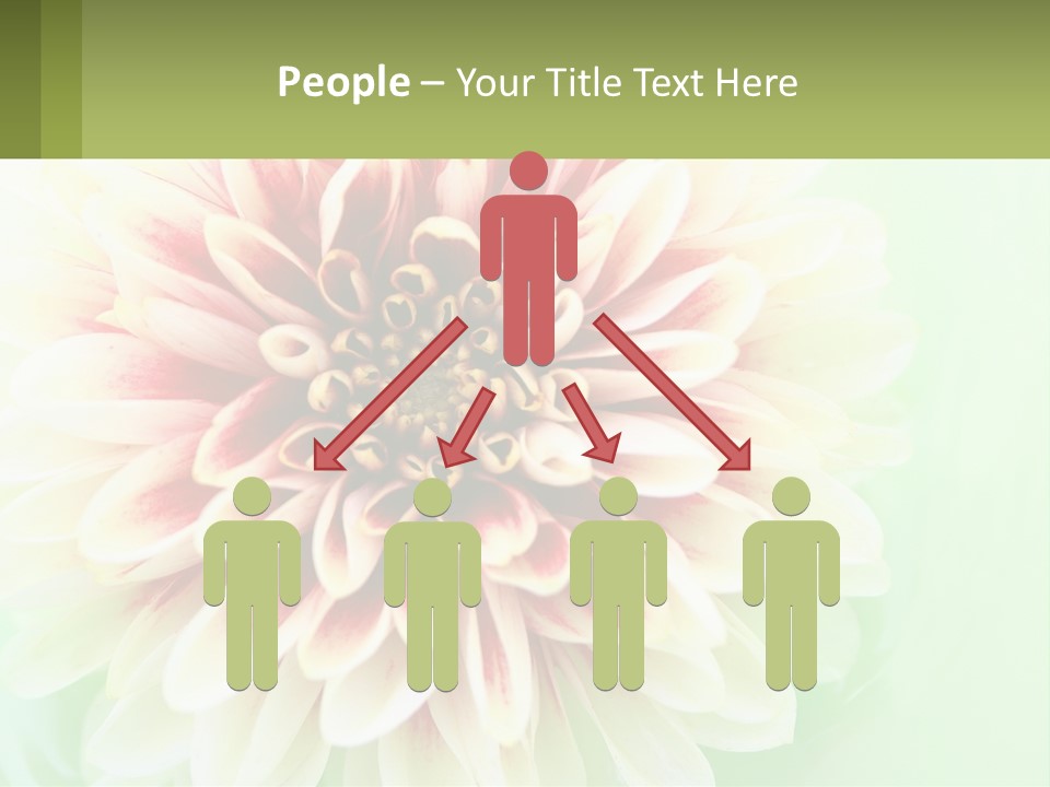 Nature Gardener Red PowerPoint Template