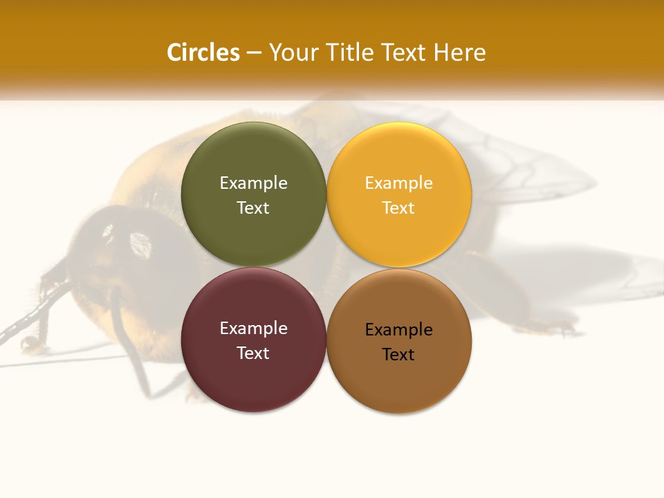 Pollen Natural Feeding PowerPoint Template