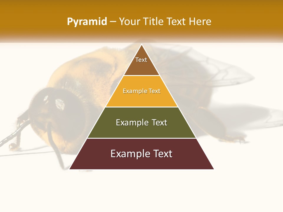 Pollen Natural Feeding PowerPoint Template