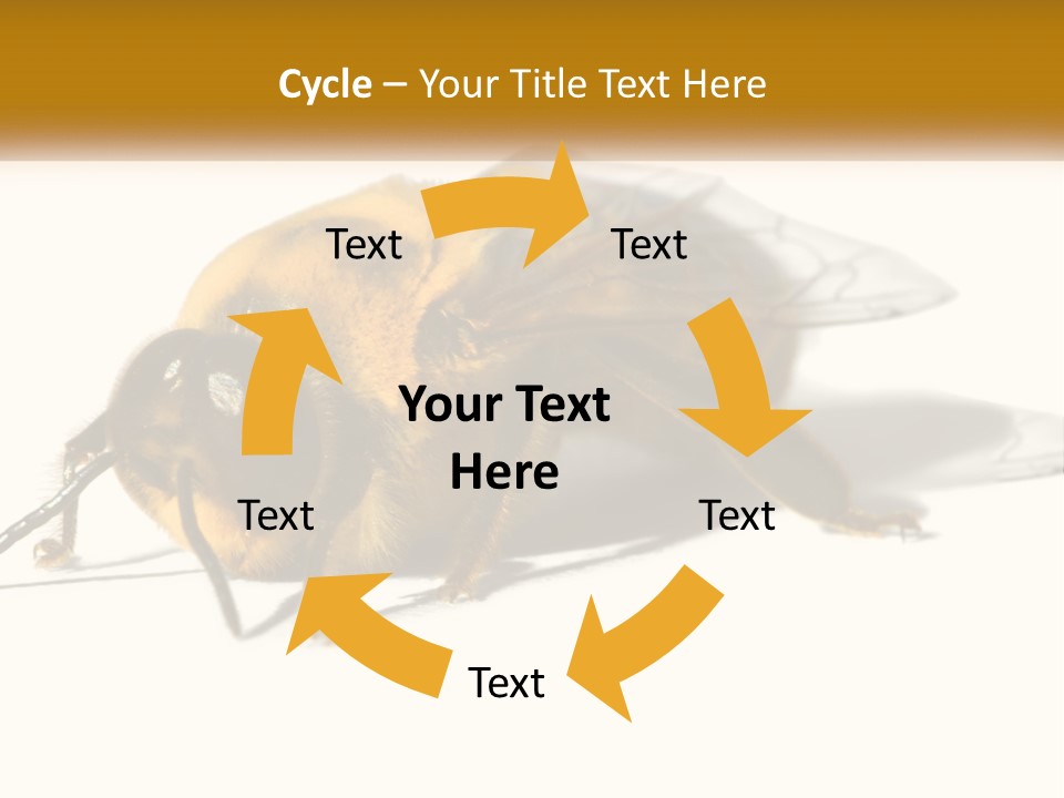 Pollen Natural Feeding PowerPoint Template