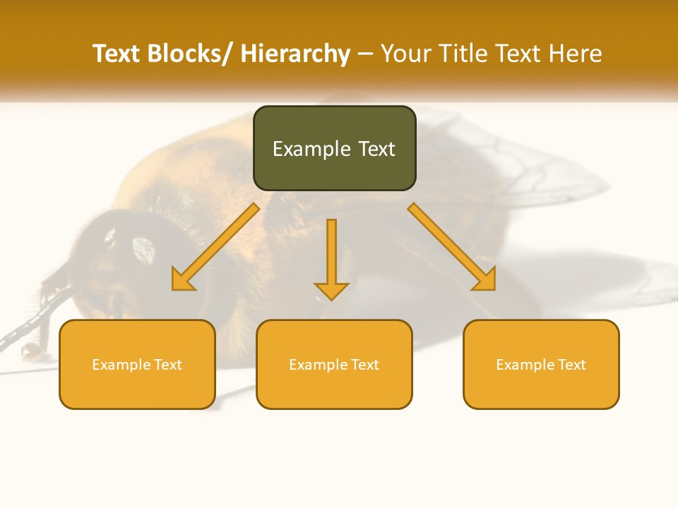 Pollen Natural Feeding PowerPoint Template