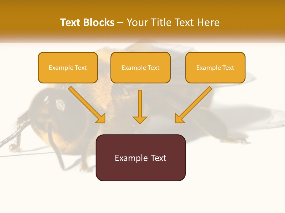 Pollen Natural Feeding PowerPoint Template