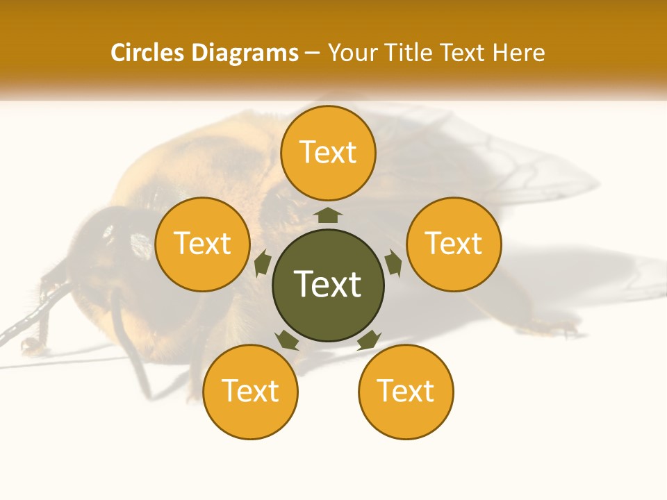 Pollen Natural Feeding PowerPoint Template