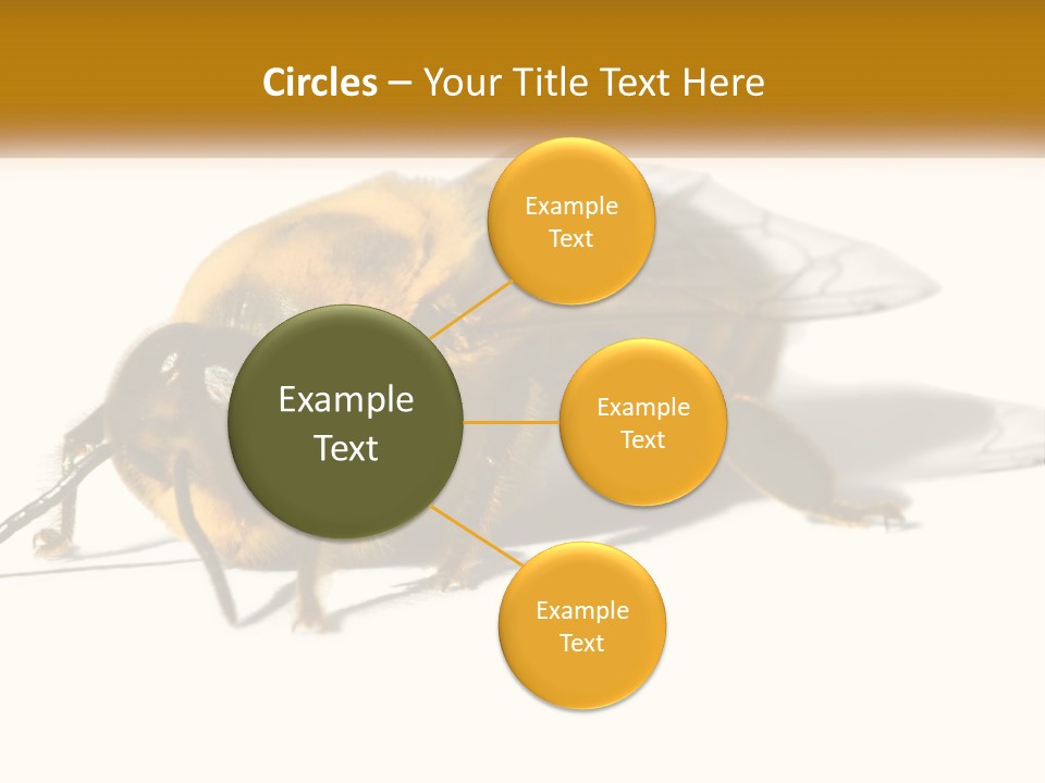 Pollen Natural Feeding PowerPoint Template