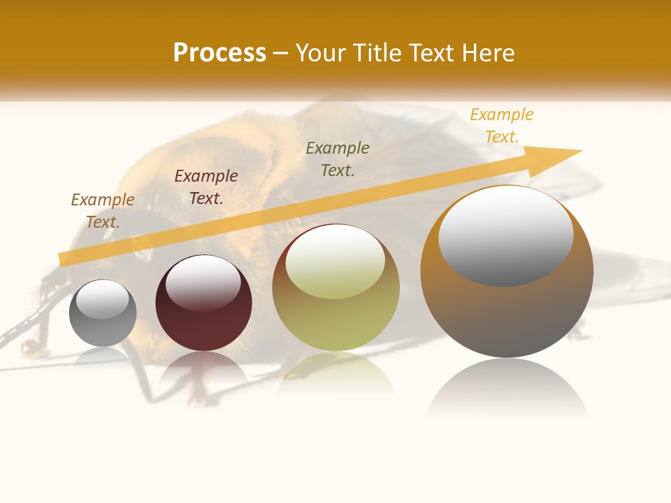 Pollen Natural Feeding PowerPoint Template