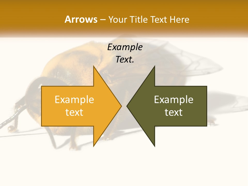 Pollen Natural Feeding PowerPoint Template