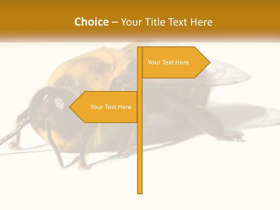 Pollen Natural Feeding PowerPoint Template