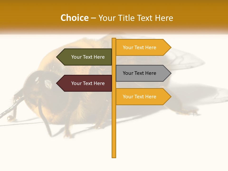 Pollen Natural Feeding PowerPoint Template