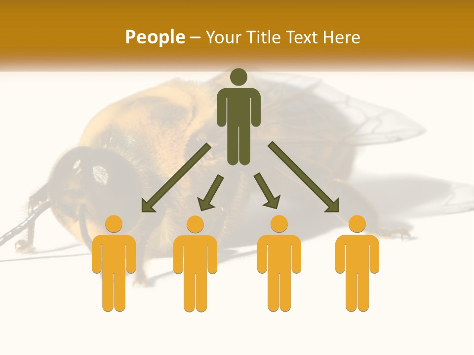 Pollen Natural Feeding PowerPoint Template