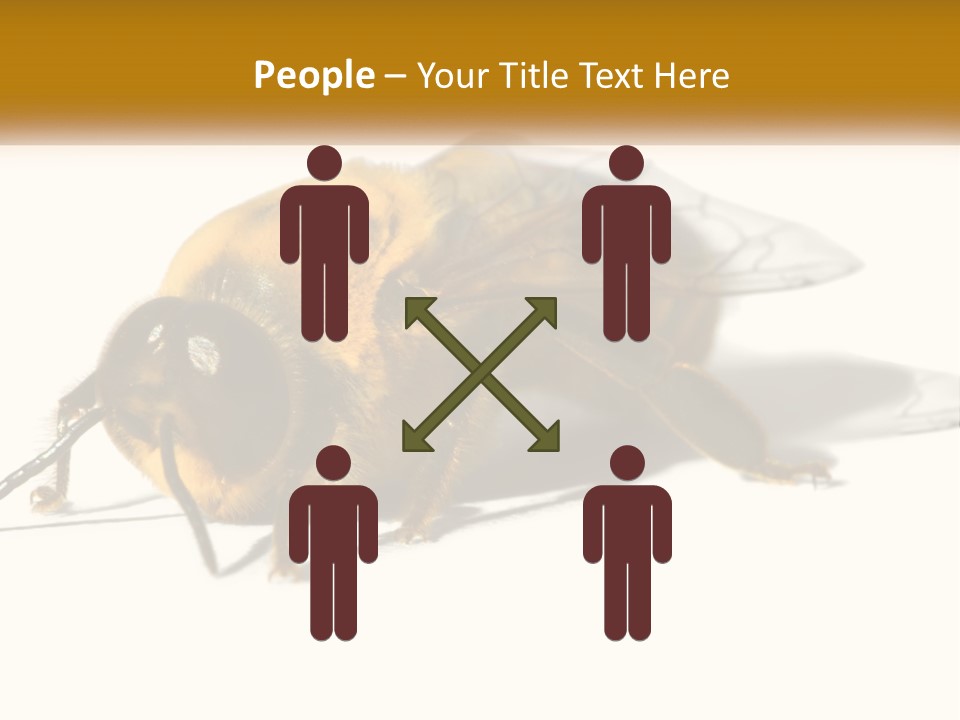 Pollen Natural Feeding PowerPoint Template