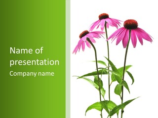 Homeopathic Garden Medicinal PowerPoint Template