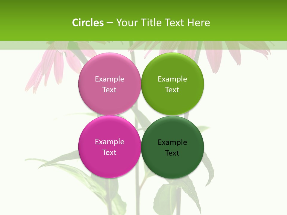 Homeopathic Garden Medicinal PowerPoint Template