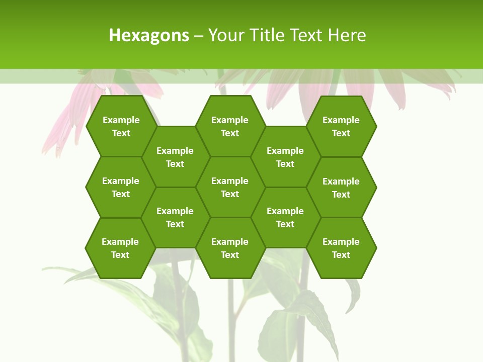 Homeopathic Garden Medicinal PowerPoint Template