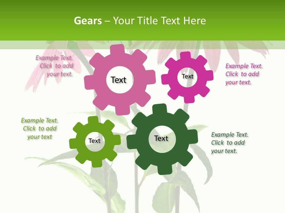 Homeopathic Garden Medicinal PowerPoint Template