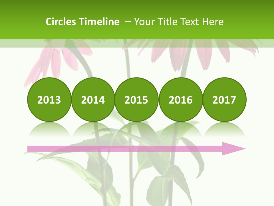 Homeopathic Garden Medicinal PowerPoint Template