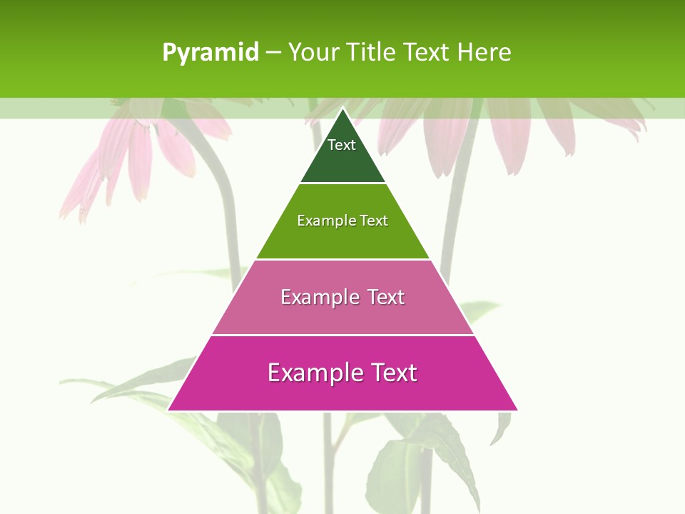 Homeopathic Garden Medicinal PowerPoint Template