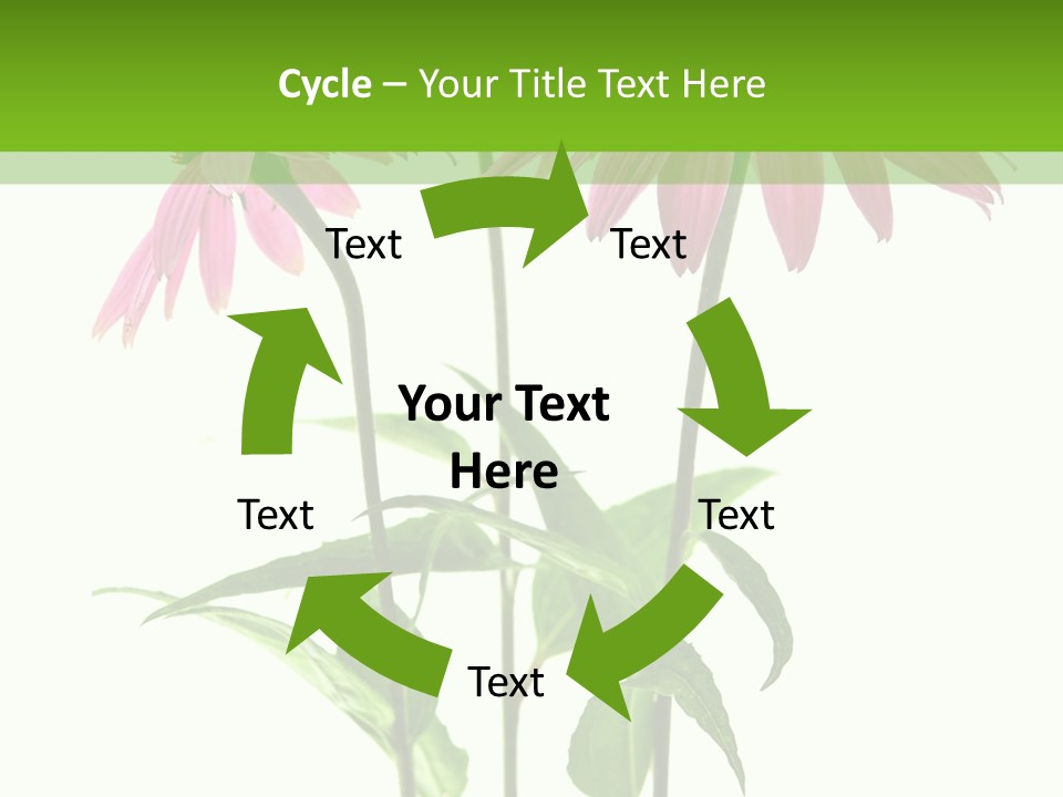 Homeopathic Garden Medicinal PowerPoint Template