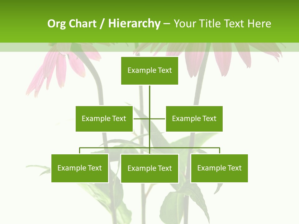 Homeopathic Garden Medicinal PowerPoint Template