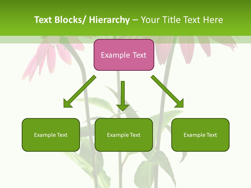 Homeopathic Garden Medicinal PowerPoint Template