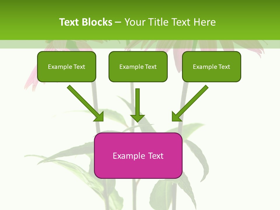 Homeopathic Garden Medicinal PowerPoint Template