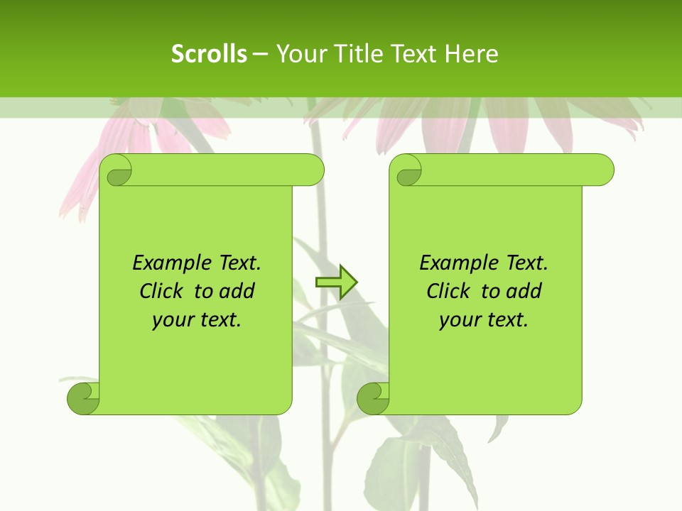 Homeopathic Garden Medicinal PowerPoint Template