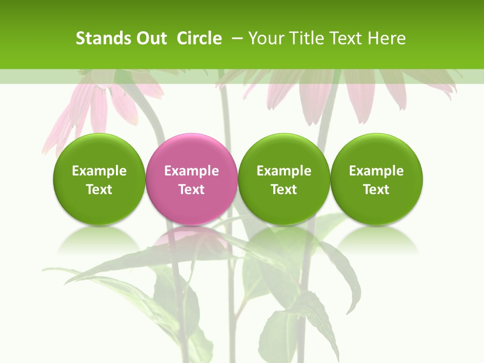 Homeopathic Garden Medicinal PowerPoint Template