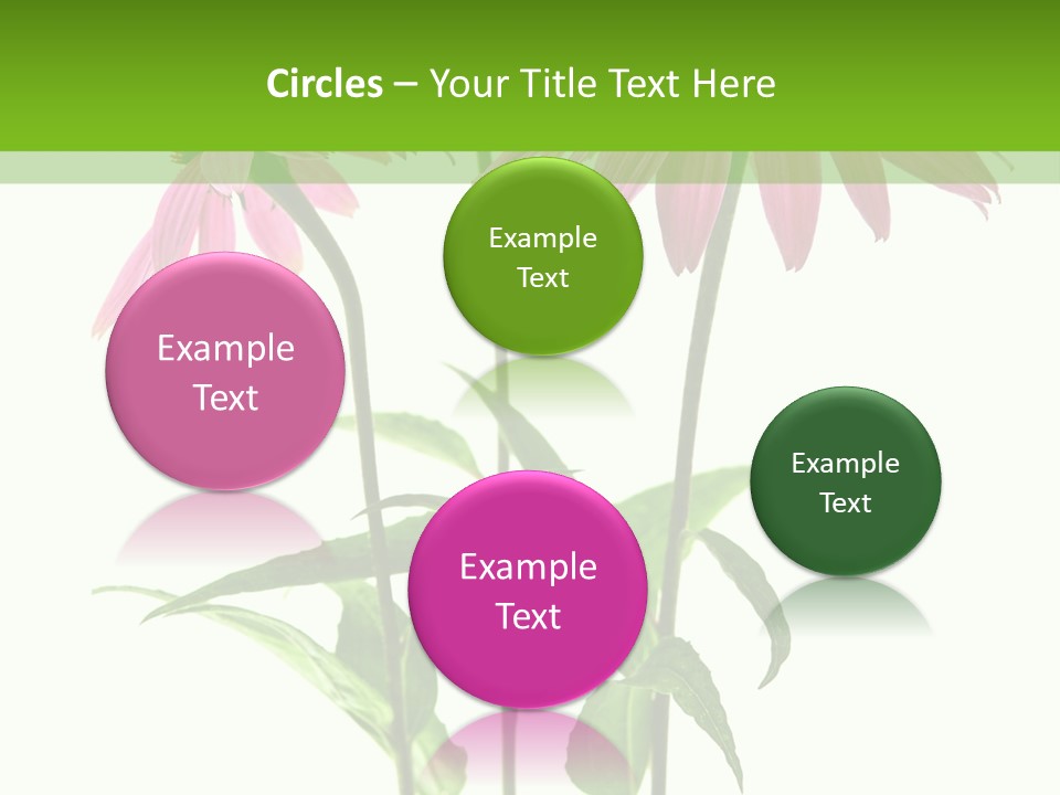 Homeopathic Garden Medicinal PowerPoint Template