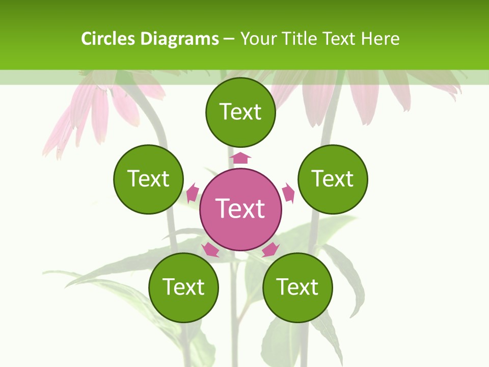 Homeopathic Garden Medicinal PowerPoint Template