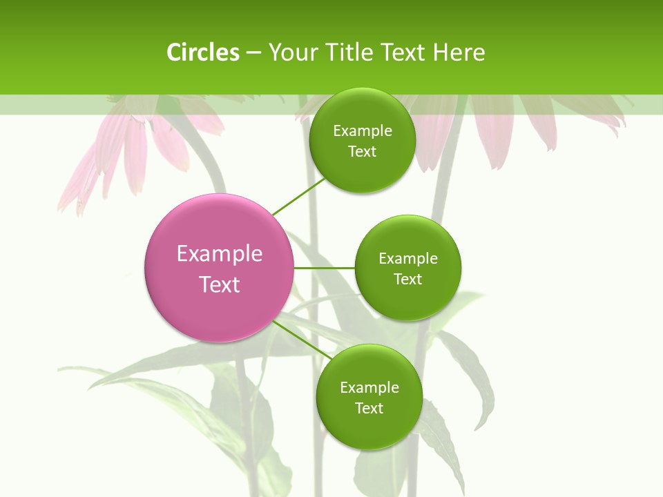 Homeopathic Garden Medicinal PowerPoint Template