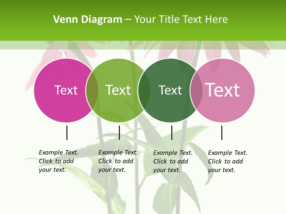 Homeopathic Garden Medicinal PowerPoint Template