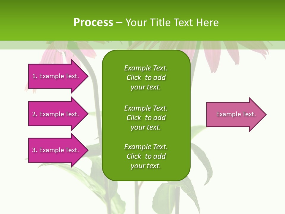 Homeopathic Garden Medicinal PowerPoint Template