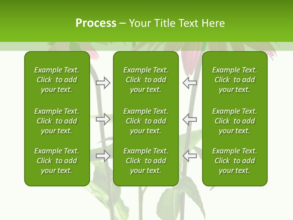 Homeopathic Garden Medicinal PowerPoint Template