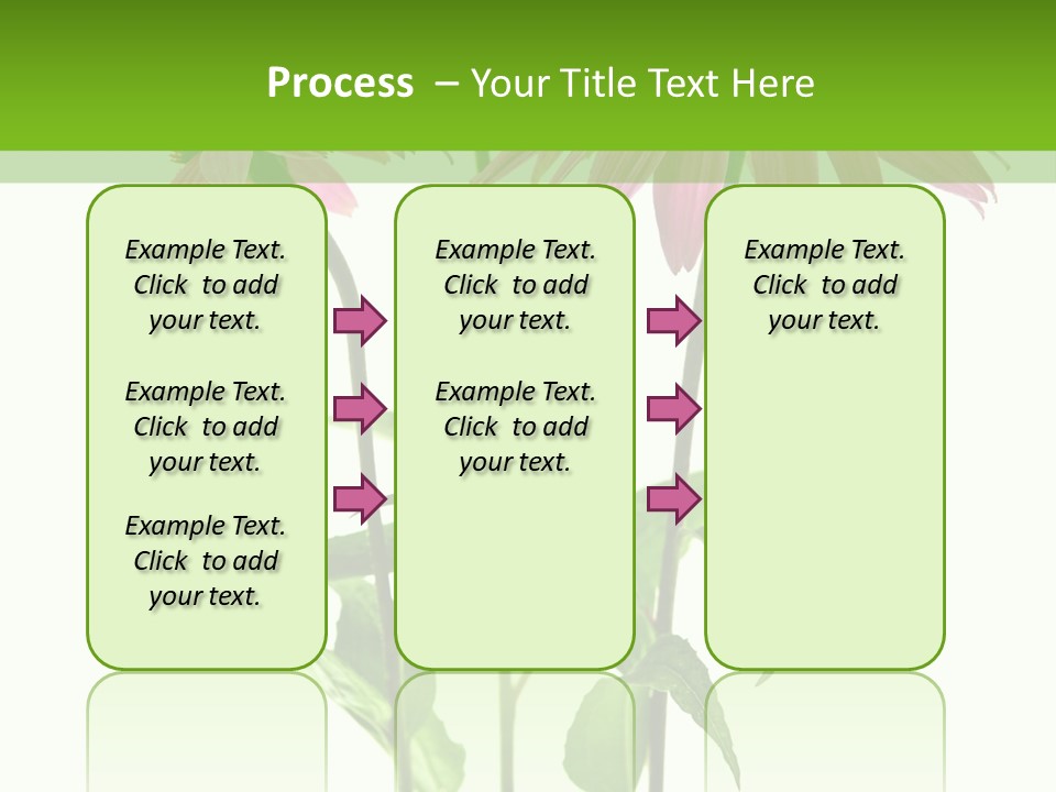 Homeopathic Garden Medicinal PowerPoint Template
