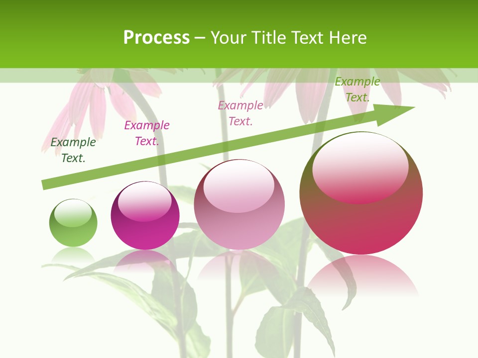 Homeopathic Garden Medicinal PowerPoint Template