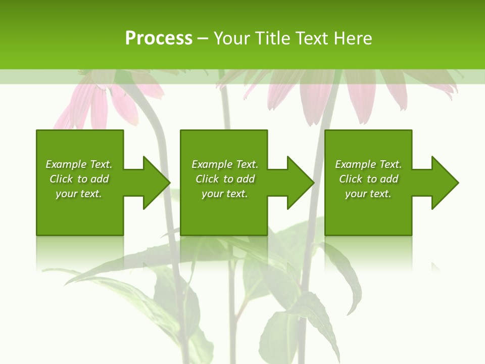 Homeopathic Garden Medicinal PowerPoint Template