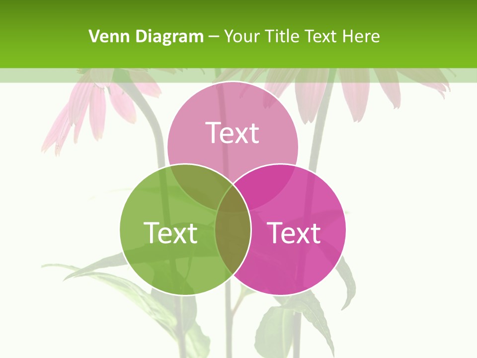 Homeopathic Garden Medicinal PowerPoint Template