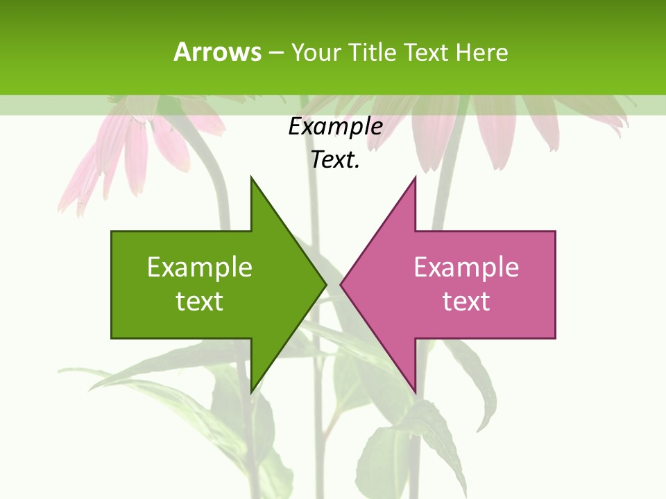 Homeopathic Garden Medicinal PowerPoint Template